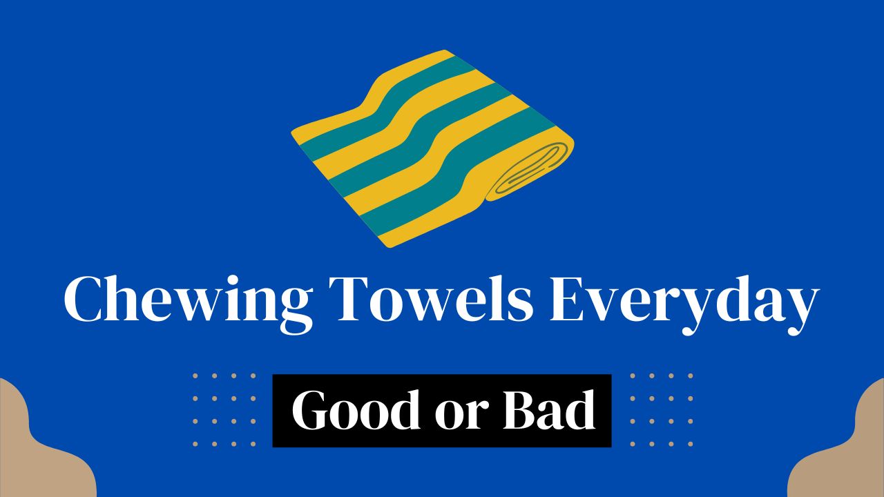 Chewing Towels Everyday | Bad Or Good For Teeth?