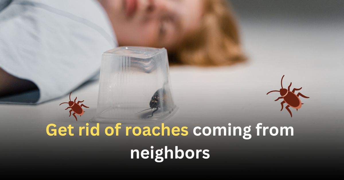 How to get rid of roaches coming from neighbors