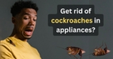 How to get rid of cockroaches in appliances?