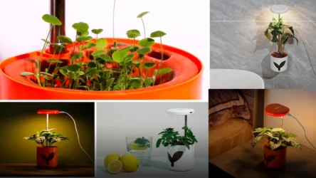 Revolutionizing Indoor Gardening with MarsPlanter – The Future of Hydroponic Planting is Here